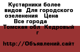 Кустарники более 100 видов. Для городского озеленения › Цена ­ 70 - Все города  »    . Томская обл.,Кедровый г.